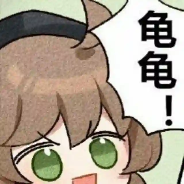 每日节奏️👑
